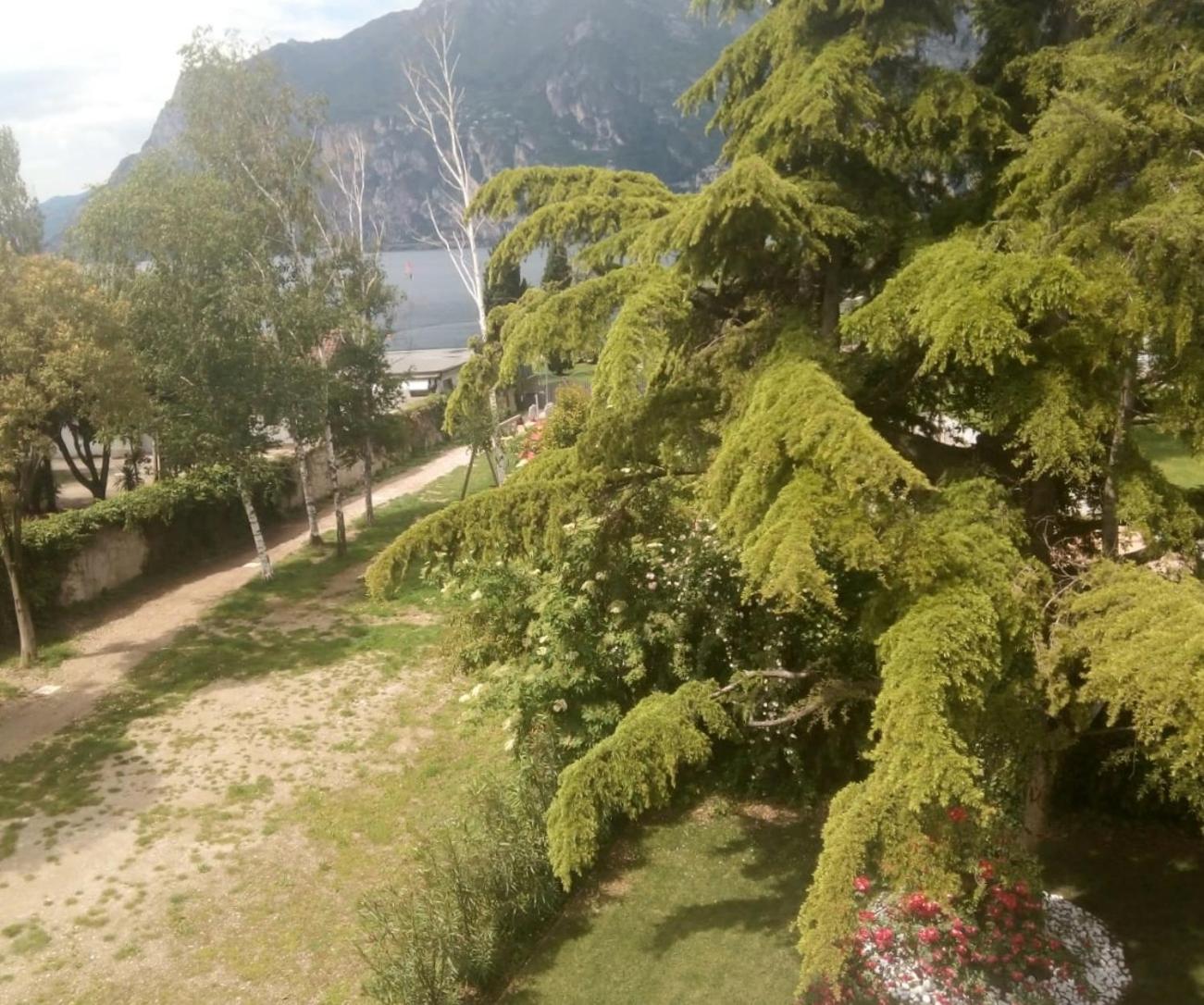 Villa Torbole Torbole Sul Garda Luaran gambar